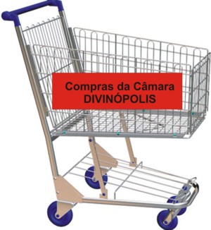 CARRINHO DE COMPRAS: Câmara de Divinópolis estabelece quase R$ 6 mil reais por mês para gastos com lanches carrinhos compras - cmara